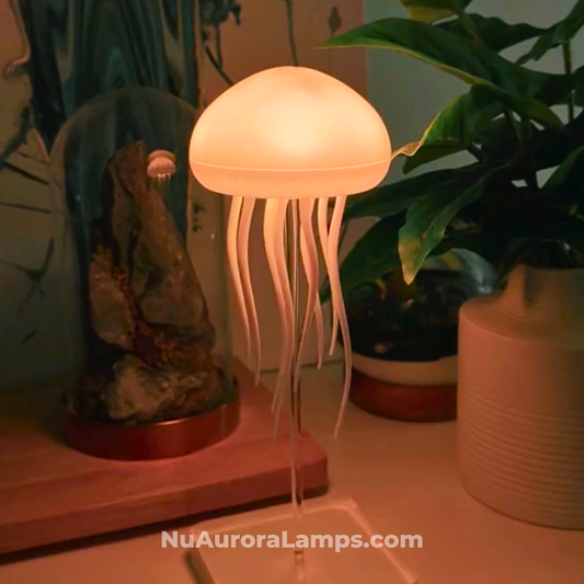 The Jellyfish Lamp